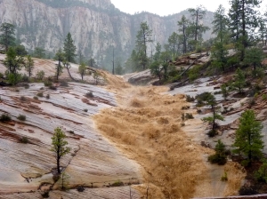 flooding in zion